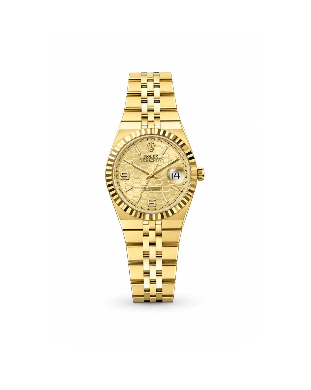 Rolex Land Dweller Gold x Gold