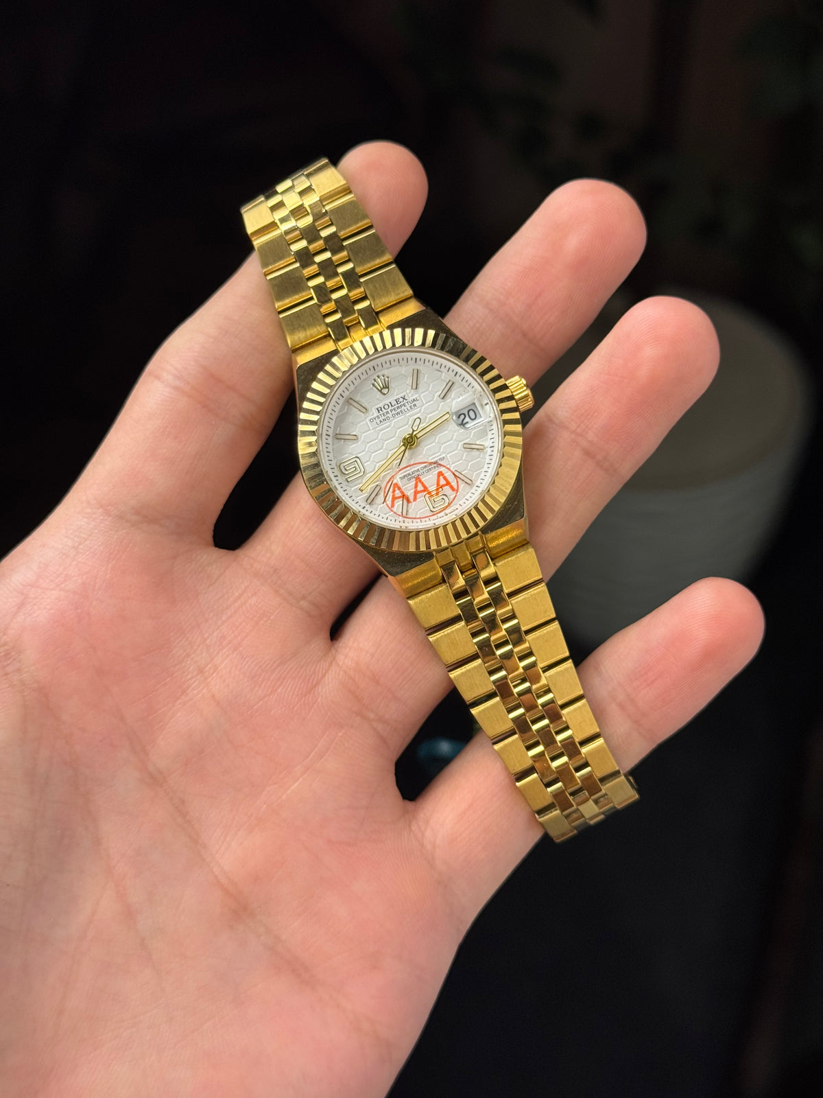Rolex Land Dweller Gold x White