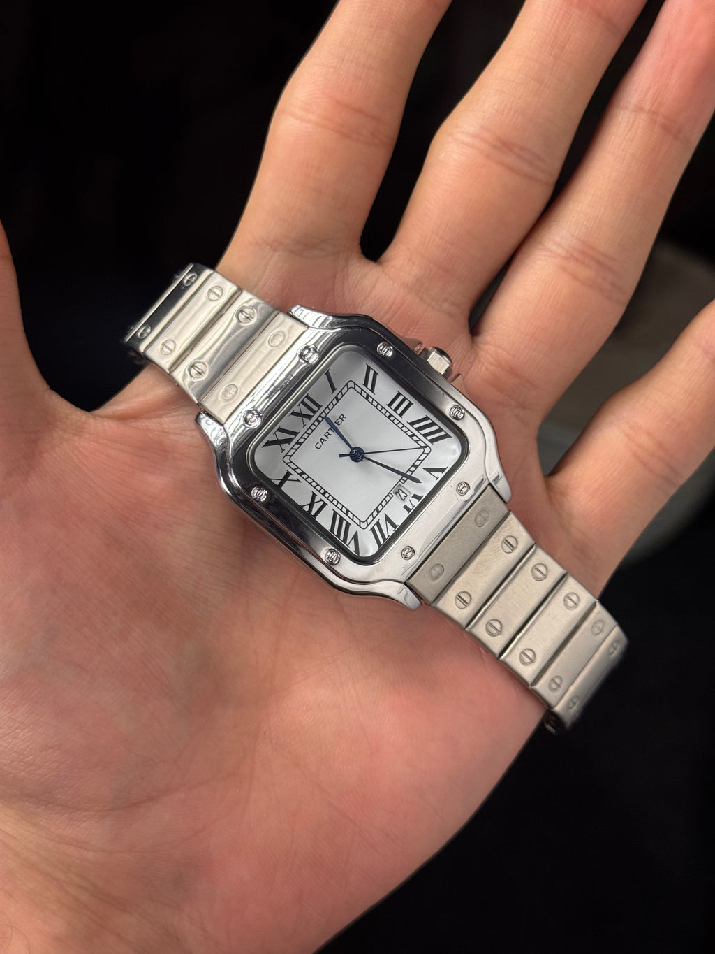 Cartier Santos Metal